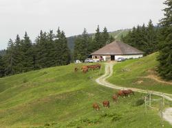 Clic pour agrandir l'image (1024x768 pixels; 131 KB)