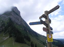 Clic pour agrandir l'image (1024x768 pixels; 78 KB)