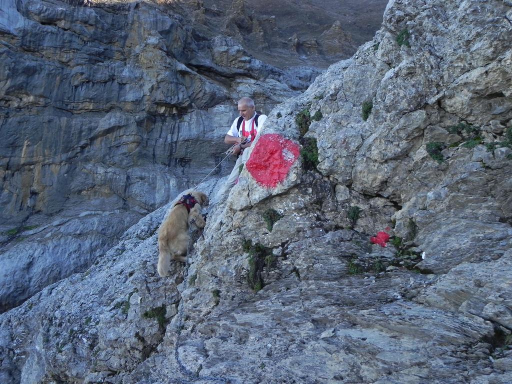 clic ici pour suivante