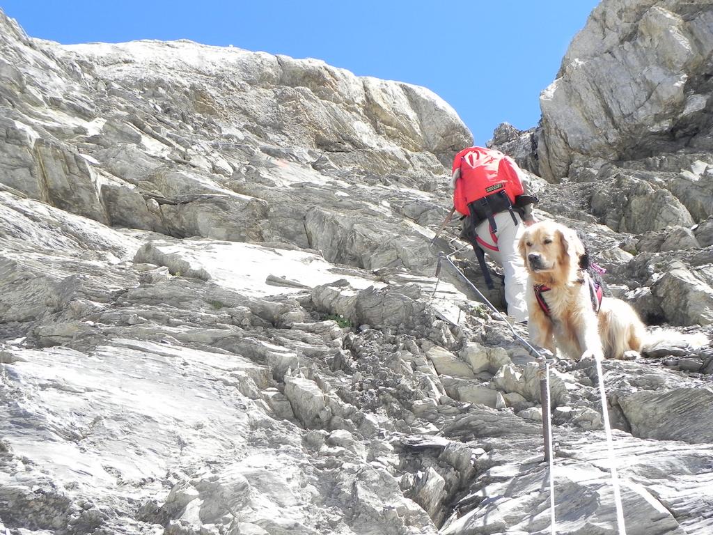 clic ici pour suivante