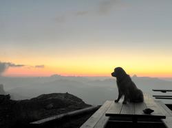 Clic pour agrandir l'image (1024x768 pixels; 49 KB)