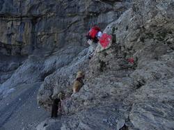 Clic pour agrandir l'image (1024x768 pixels; 174 KB)