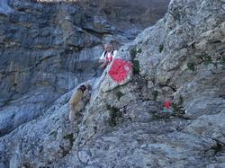 Clic pour agrandir l'image (1024x768 pixels; 200 KB)