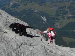 Clic pour agrandir l'image (1024x768 pixels; 124 KB)