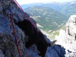 Clic pour agrandir l'image (1024x768 pixels; 127 KB)