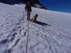 Clic pour agrandir l'image (1024x768 pixels; 81 KB)