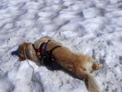 Clic pour agrandir l'image (1024x768 pixels; 101 KB)