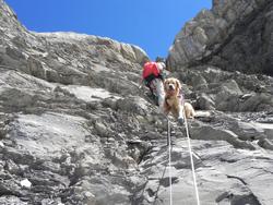 Clic pour agrandir l'image (1024x768 pixels; 189 KB)