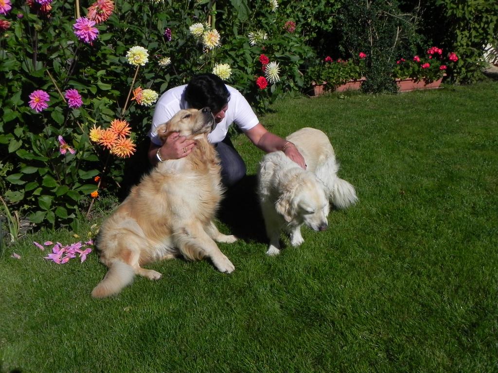 clic ici pour suivante