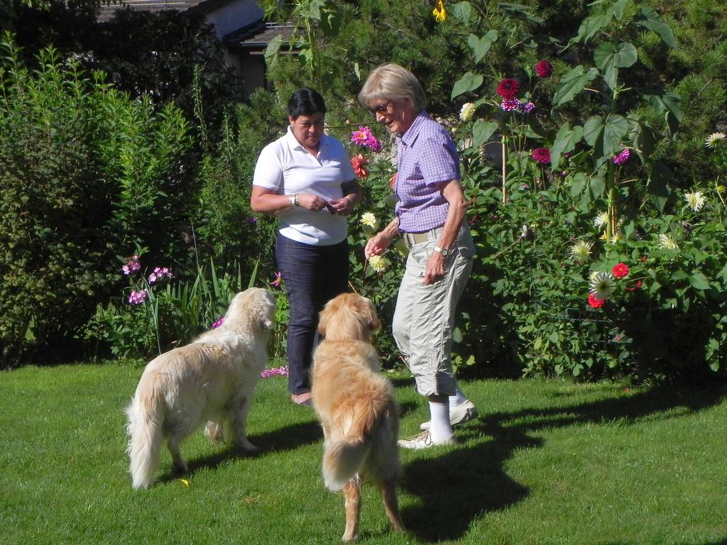 clic ici pour suivante