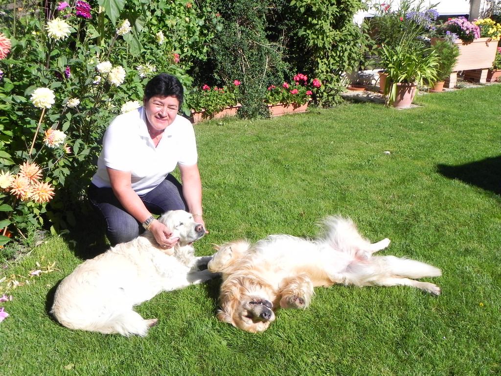 clic ici pour suivante