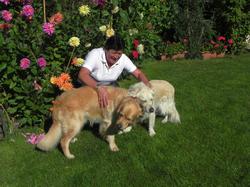 Clic pour agrandir l'image (1024x768 pixels; 157 KB)