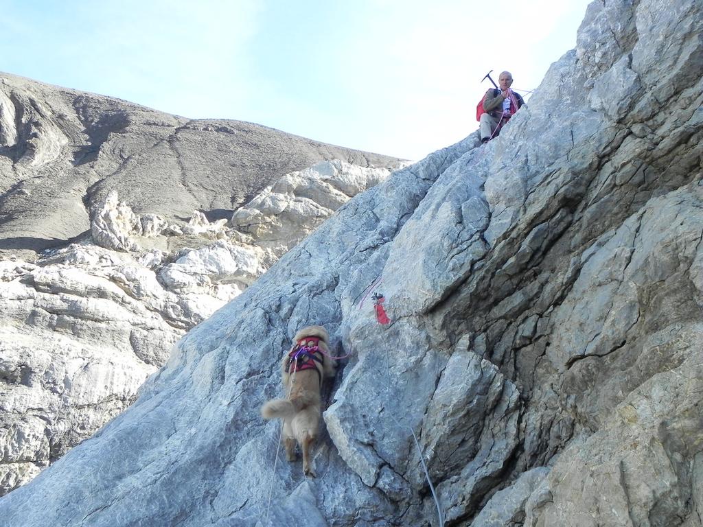 clic ici pour suivante