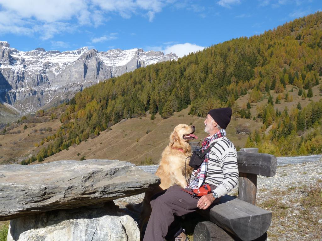 clic ici pour suivante