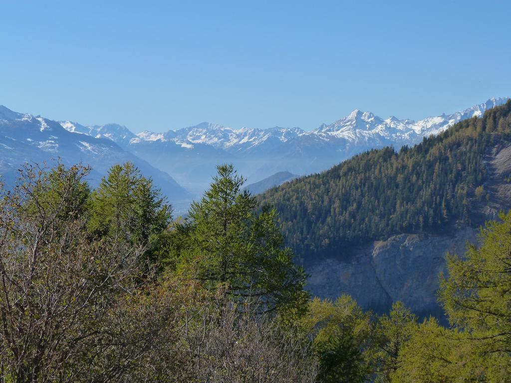 clic ici pour suivante