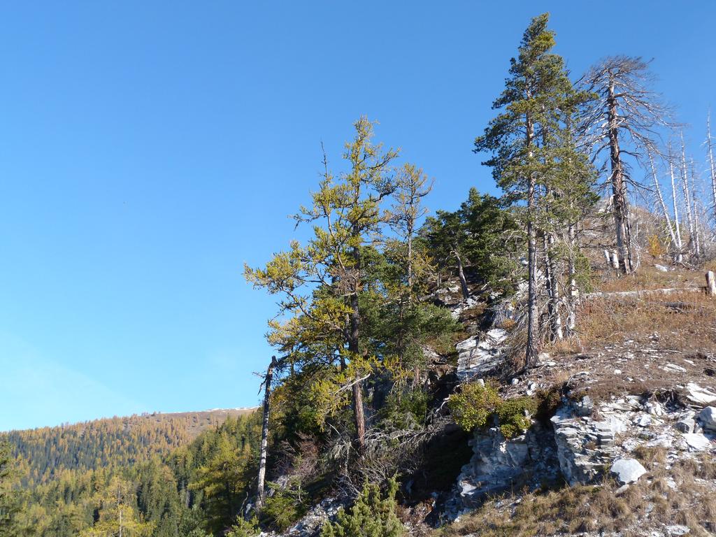 clic ici pour suivante