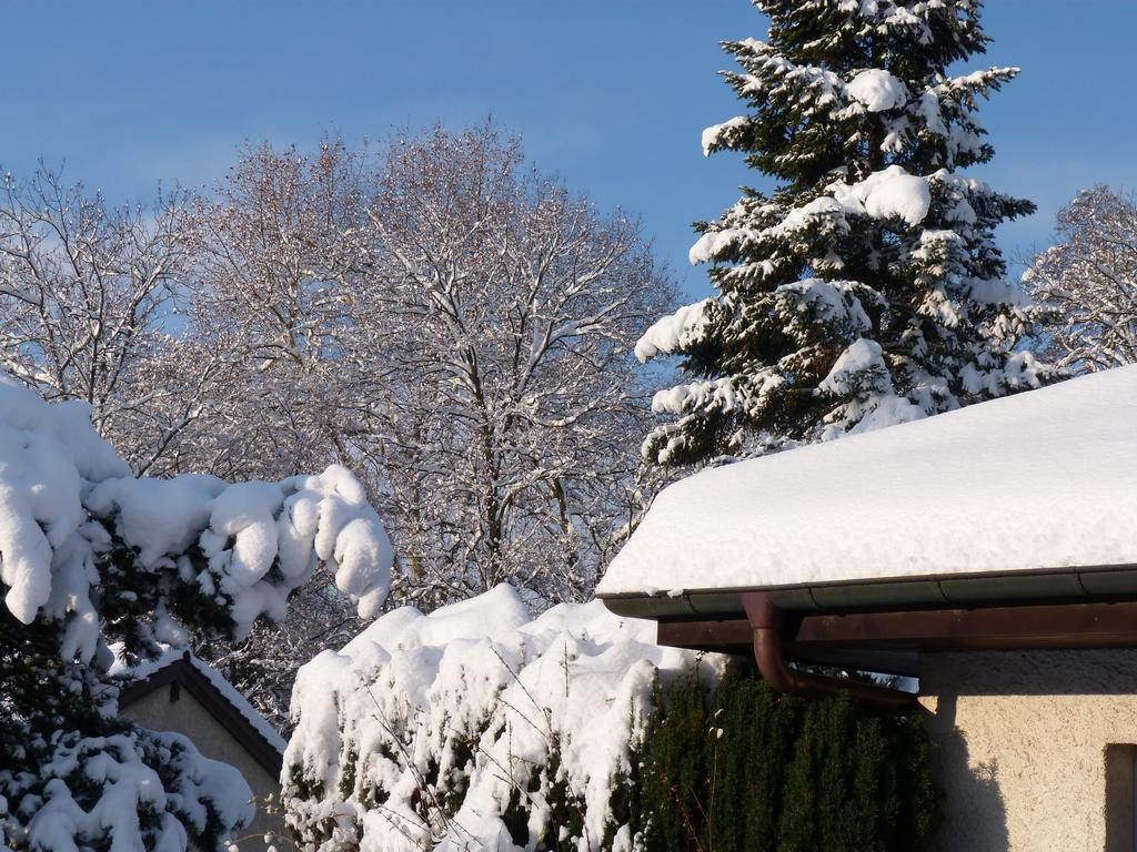 Click to see next picture