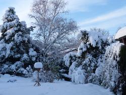 Click to see big picture (800x600 pixels; 109 KB)