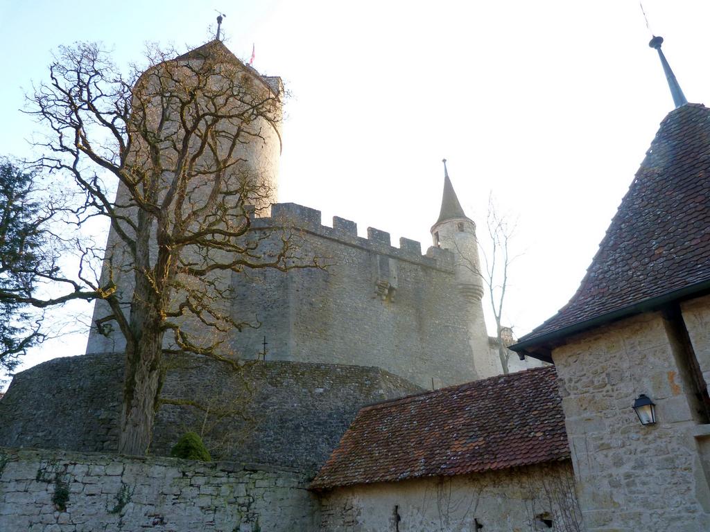 Cliqeu pour voir l'image suivante