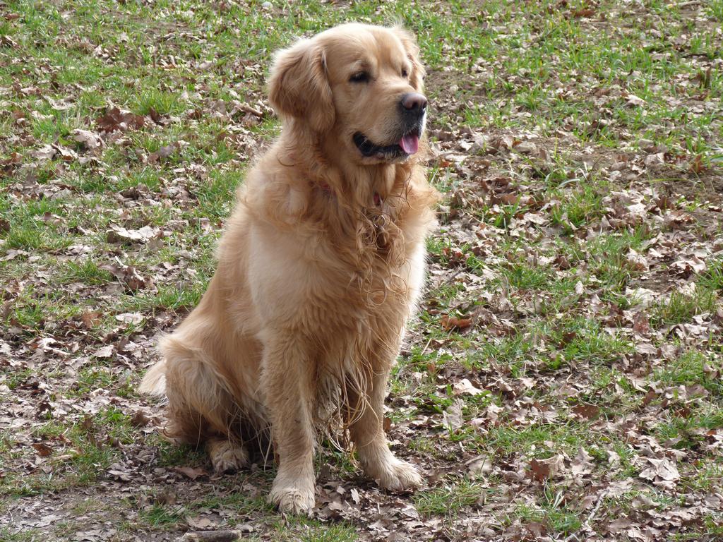 Cliqeu pour voir l'image suivante