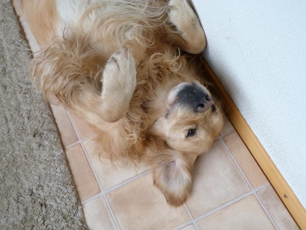 Cliqeu pour voir l'image suivante