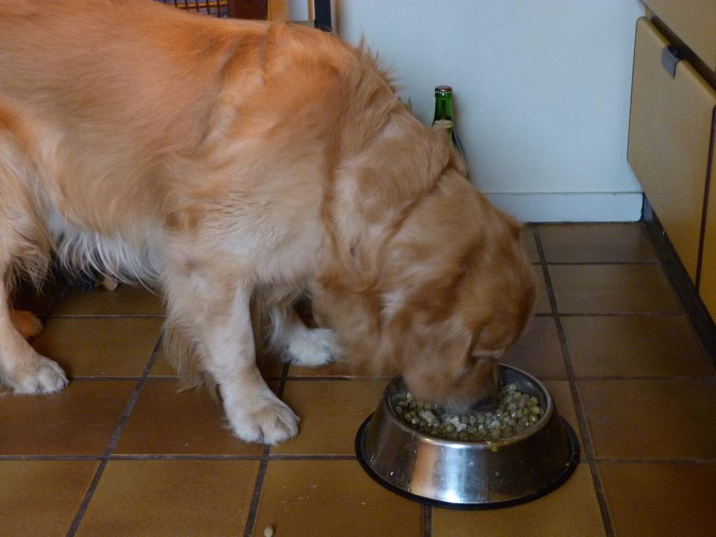 Cliqeu pour voir l'image suivante