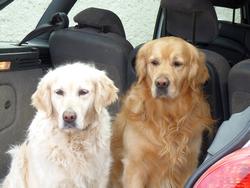 Clic pour agrandir l'image (1024x768 pixels; 100 KB)