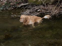 Clic pour agrandir l'image (1024x768 pixels; 117 KB)