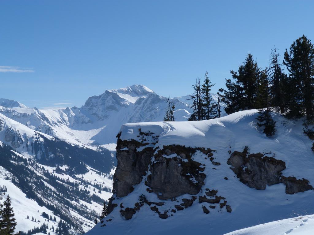 Cliqeu pour voir l'image suivante