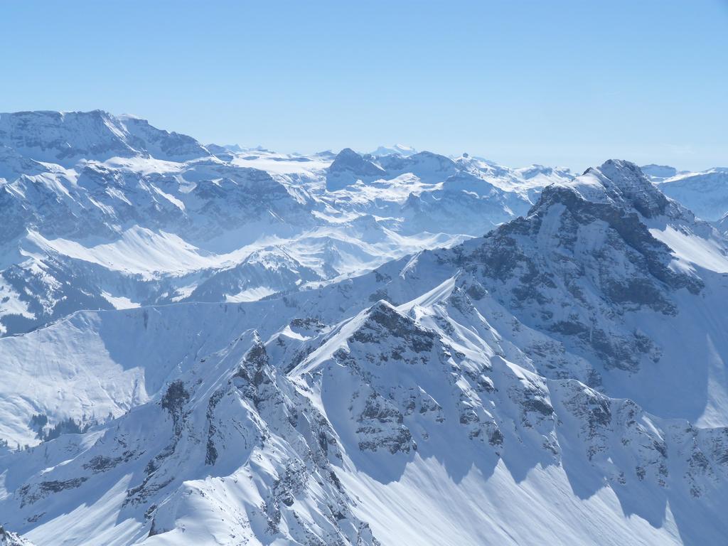 Cliqeu pour voir l'image suivante