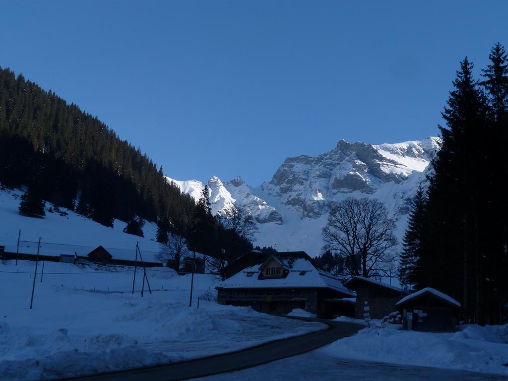 Cliqeu pour voir l'image suivante