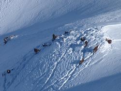 Clic pour agrandir l'image (1024x768 pixels; 143 KB)