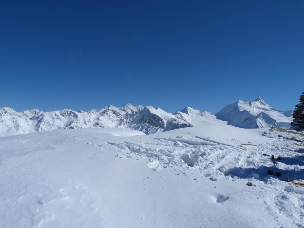 Cliqeu pour voir l'image suivante