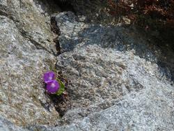 Clic pour agrandir l'image (1024x768 pixels; 224 KB)