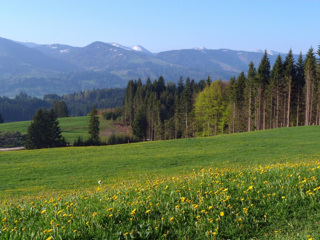 Cliqeu pour voir l'image suivante