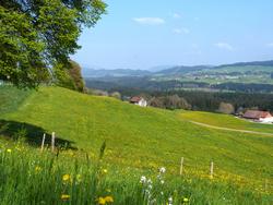 Clic pour agrandir l'image (1024x768 pixels; 168 KB)