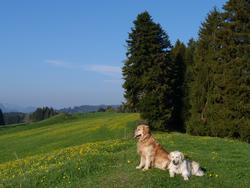 Clic pour agrandir l'image (1024x768 pixels; 128 KB)