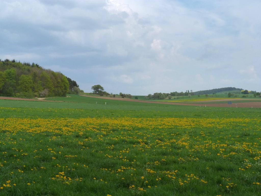 Cliqeu pour voir l'image suivante