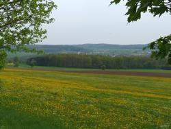 Clic pour agrandir l'image (1024x768 pixels; 141 KB)