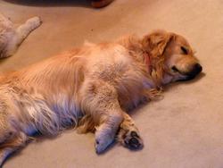 Clic pour agrandir l'image (1024x768 pixels; 104 KB)