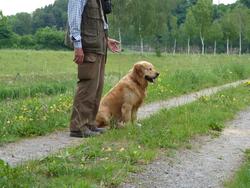 Clic pour agrandir l'image (1024x768 pixels; 171 KB)