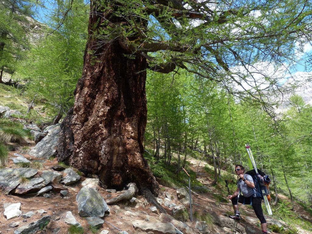 Cliqeu pour voir l'image suivante