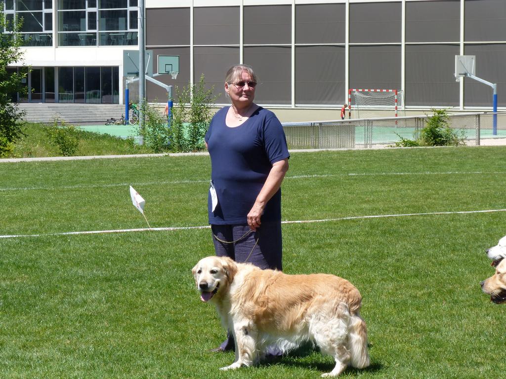 Cliqeu pour voir l'image suivante