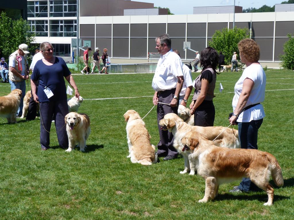 Cliqeu pour voir l'image suivante