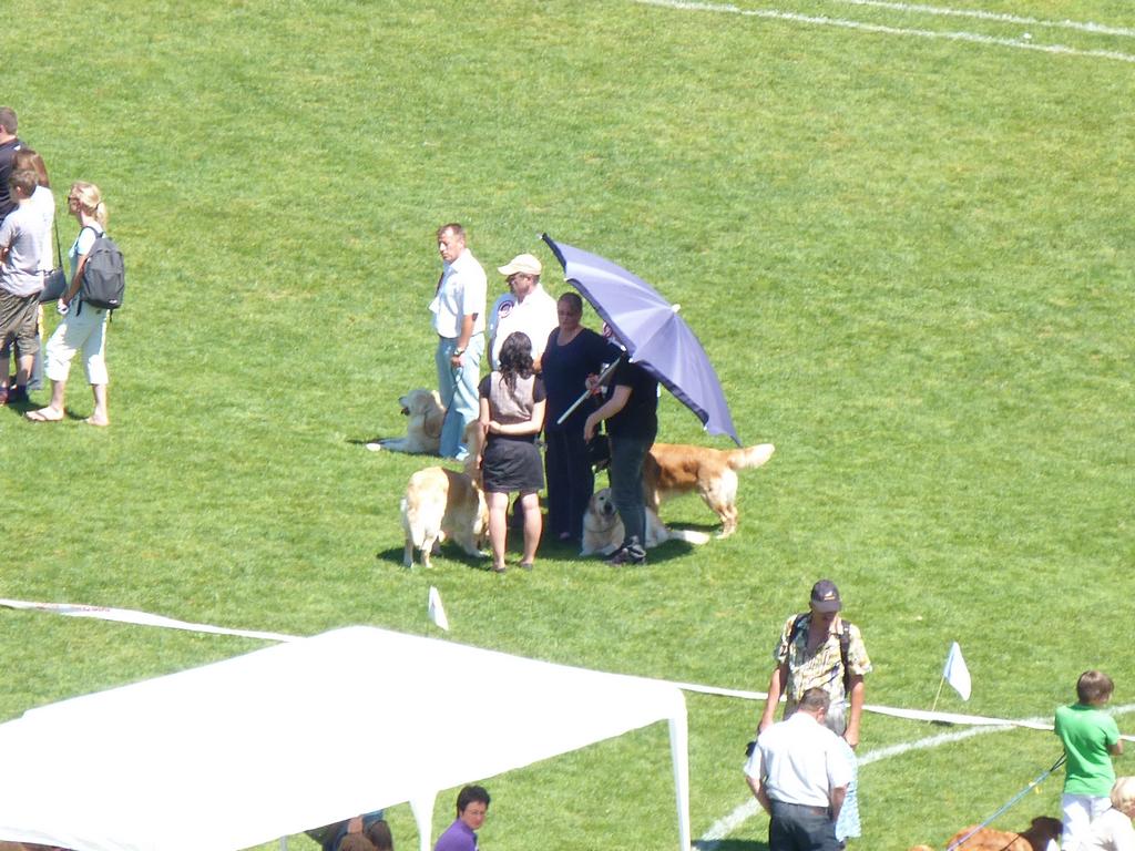 Cliqeu pour voir l'image suivante