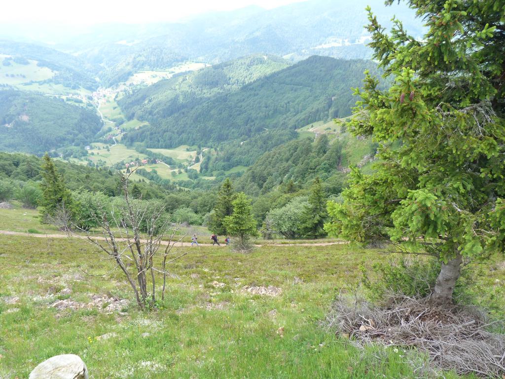 Cliqeu pour voir l'image suivante