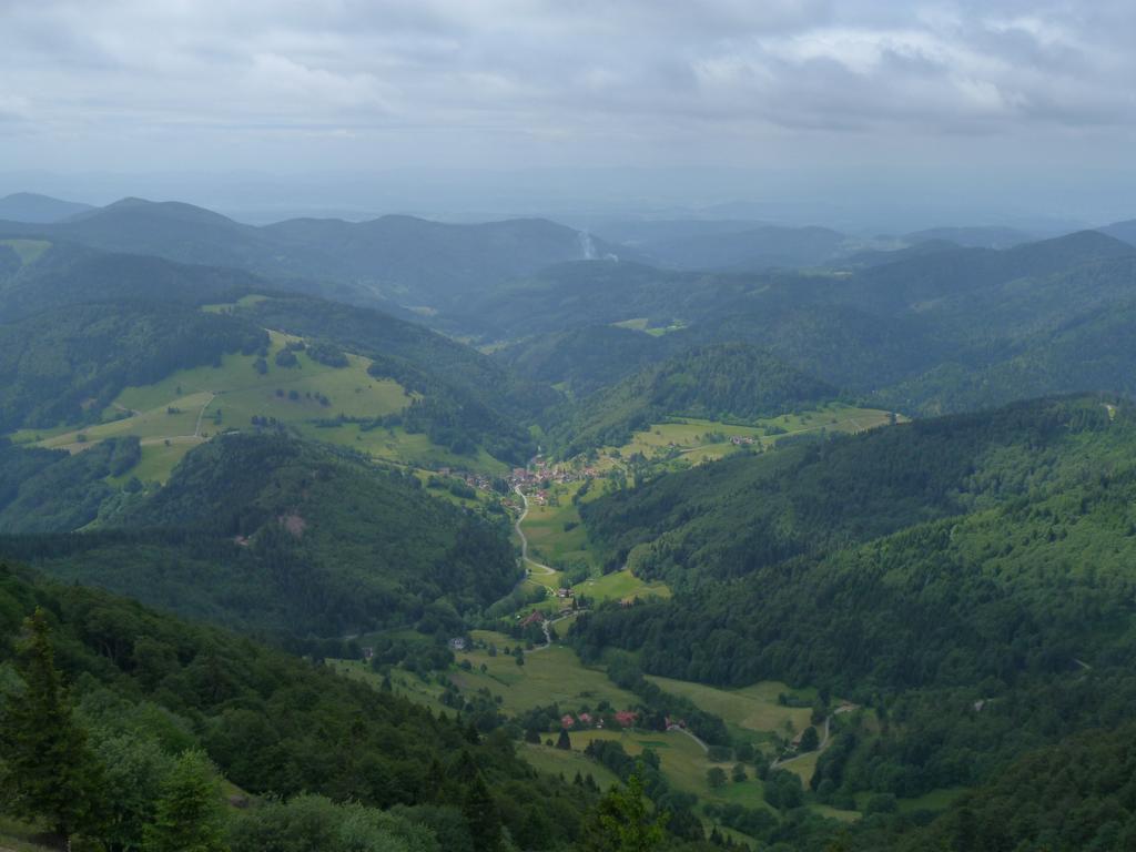 Cliqeu pour voir l'image suivante