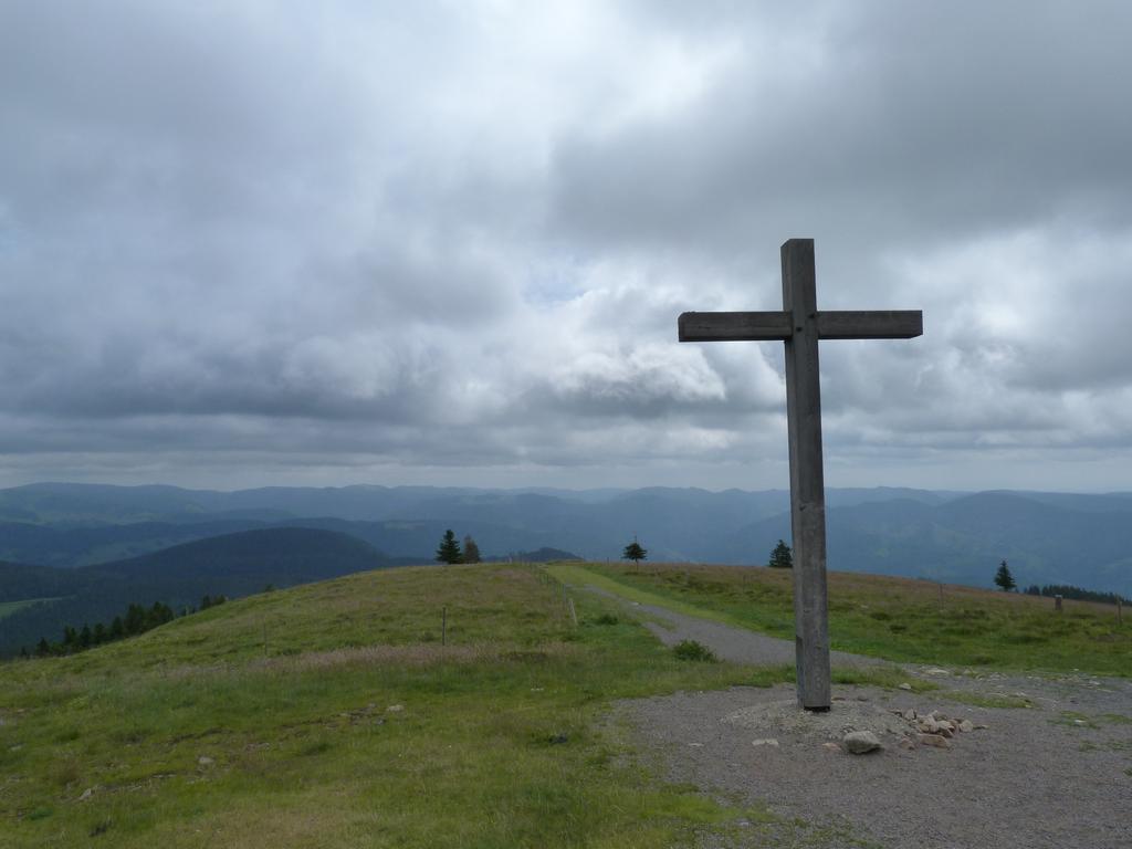Cliqeu pour voir l'image suivante