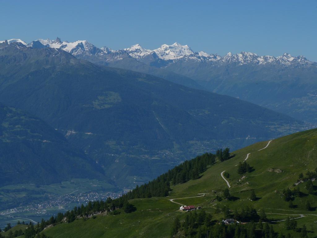 Cliqeu pour voir l'image suivante