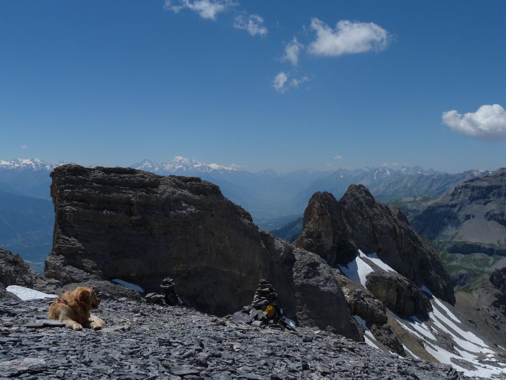 Cliqeu pour voir l'image suivante